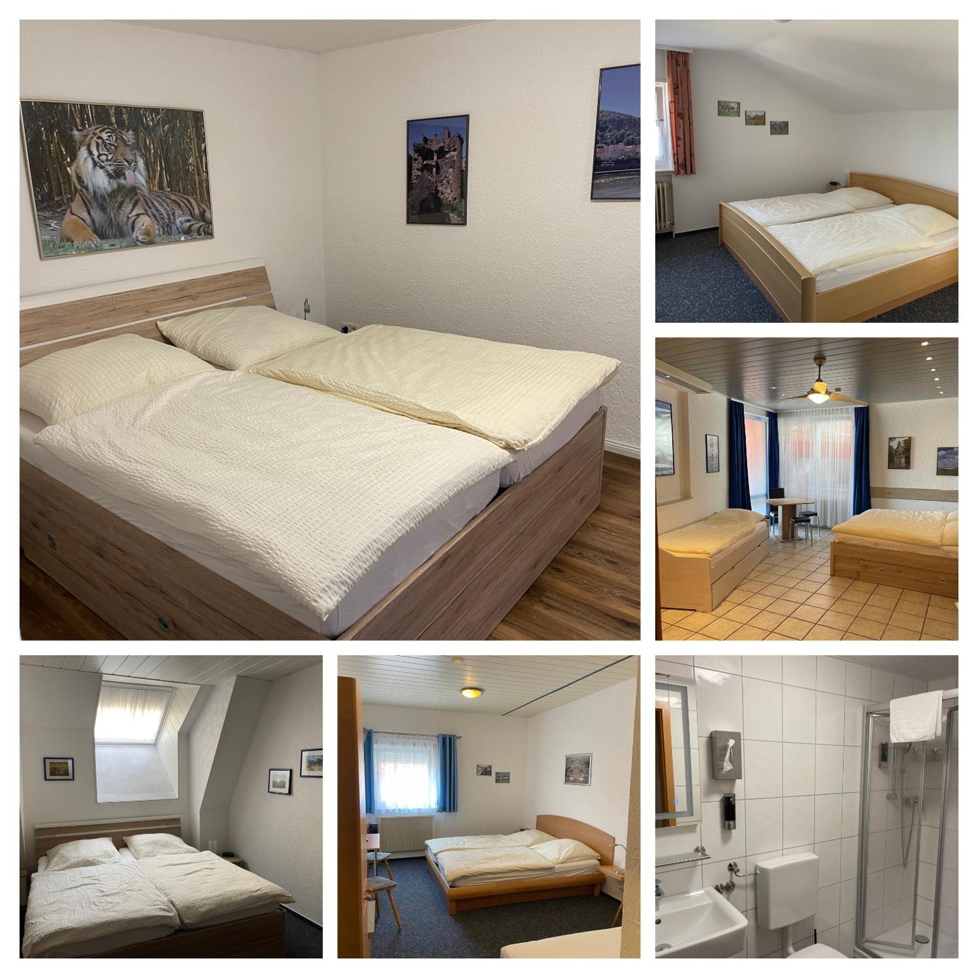 Hotel Sonne Sinsheim Extérieur photo